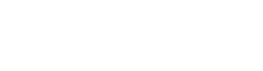 ZWCAD_Logo_White